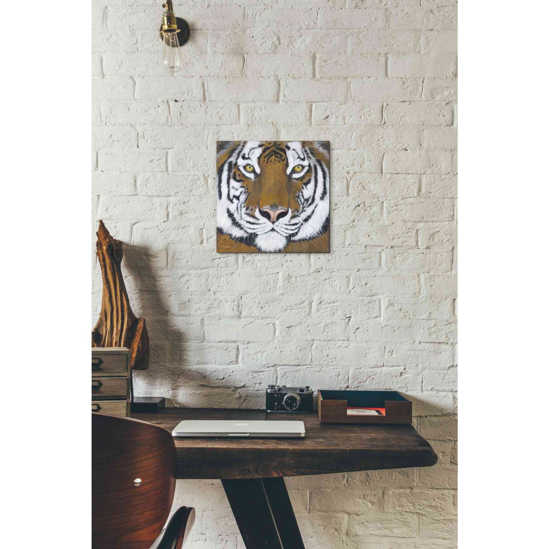 'Tiger Gaze' by Britt Hallowell, Canvas Wall Art,12 x 12
