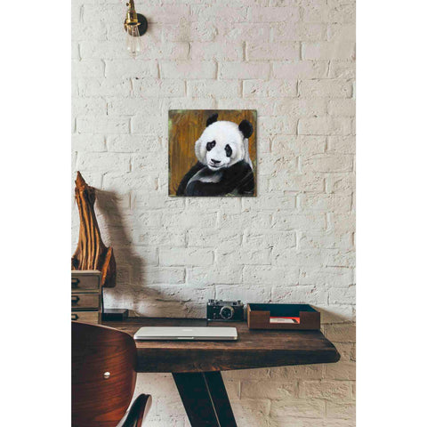 Image of 'Panda Smile' by Britt Hallowell, Canvas Wall Art,12 x 12