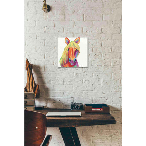 Image of 'Cheery Horse' by Britt Hallowell, Canvas Wall Art,12 x 12