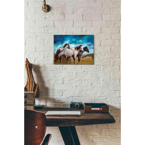 Image of 'Starry Night Horse Herd' by Bluebird Barn, Canvas Wall Art,16 x 12