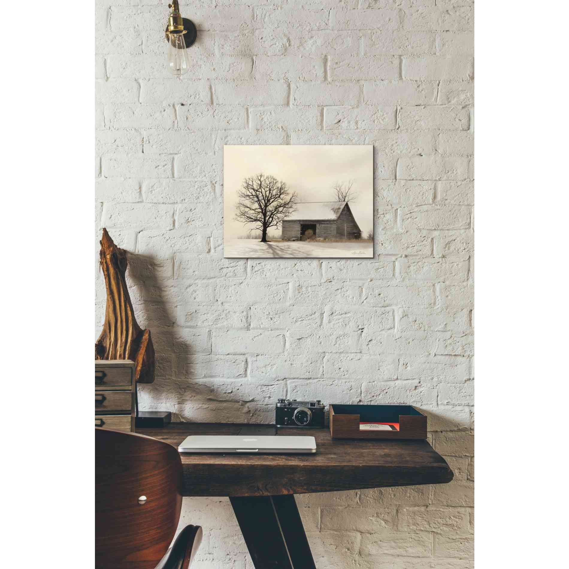 'Winter Shadows' by Lori Deiter, Canvas Wall Art,16 x 12