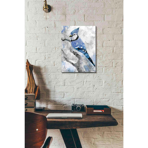 Image of 'Blue Jay 2' by Stellar Design Studio, Canvas Wall Art,12 x 16