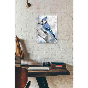 'Blue Jay 2' by Stellar Design Studio, Canvas Wall Art,12 x 16