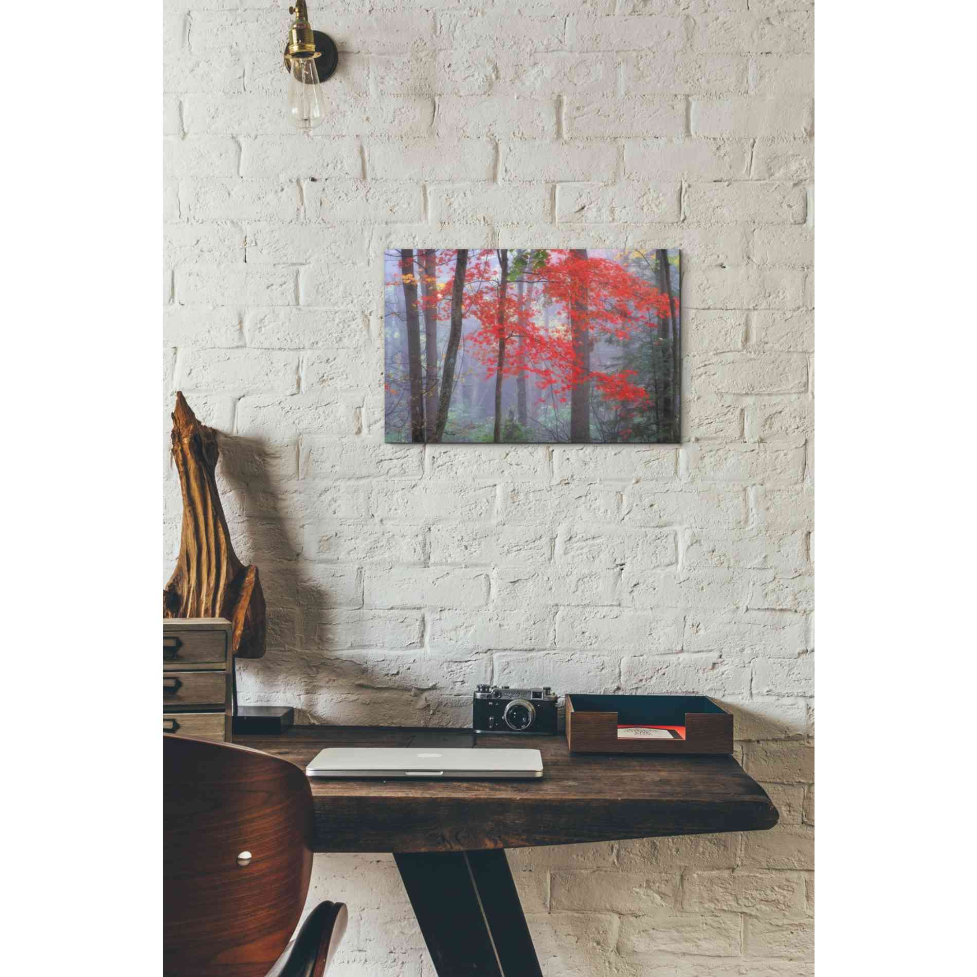 'Splash of Red' by Patrick Zephyr, Canvas Wall Art,18 x 12