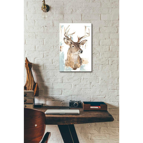 Image of 'Modern Deer Mount I' by Ethan Harper Canvas Wall Art,12 x 18