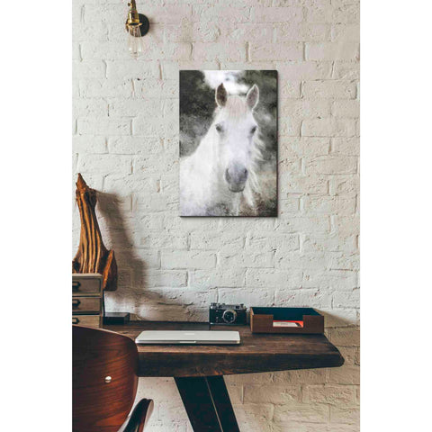 Image of 'White Horse Mystique' by Bluebird Barn, Canvas Wall Art,12 x 18