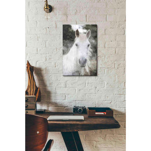 'White Horse Mystique' by Bluebird Barn, Canvas Wall Art,12 x 18