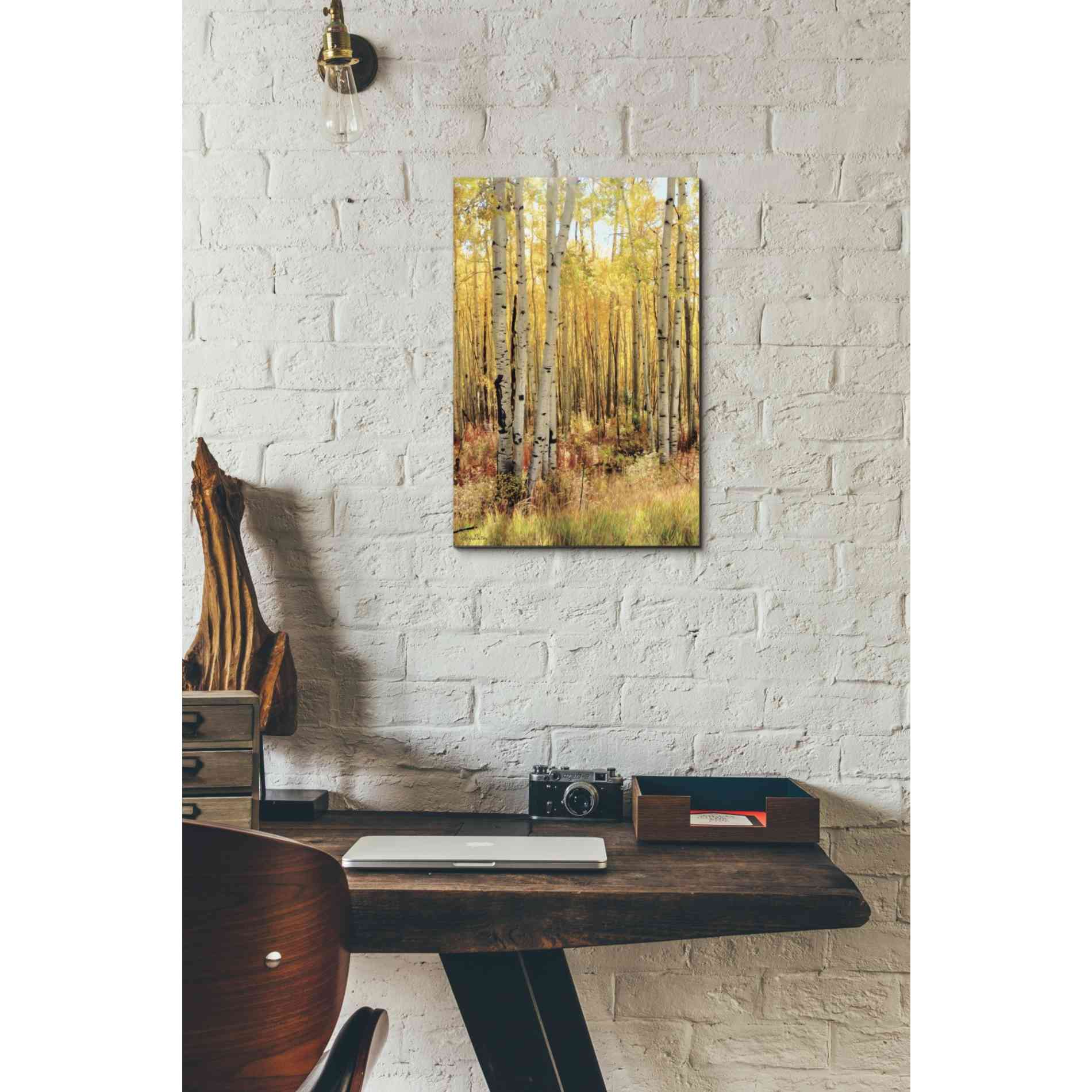 'Solid Gold II' by Lori Deiter, Canvas Wall Art,12 x 18