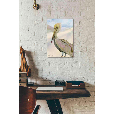 Image of 'Pelican 2' by Stellar Design Studio, Canvas Wall Art,12 x 18