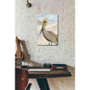 'Pelican 2' by Stellar Design Studio, Canvas Wall Art,12 x 18