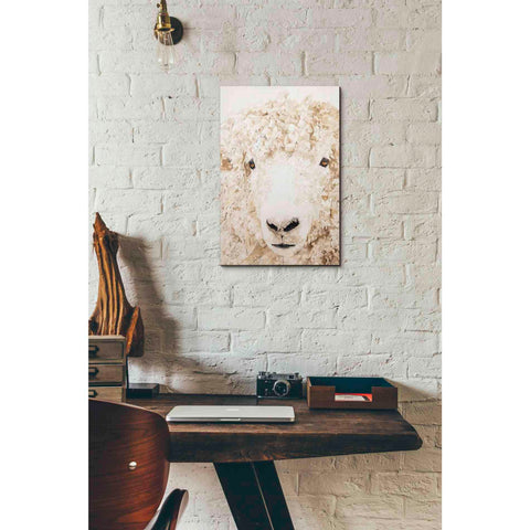 Image of 'Woolly' by Diane Fifer, Giclee Canvas Wall Art