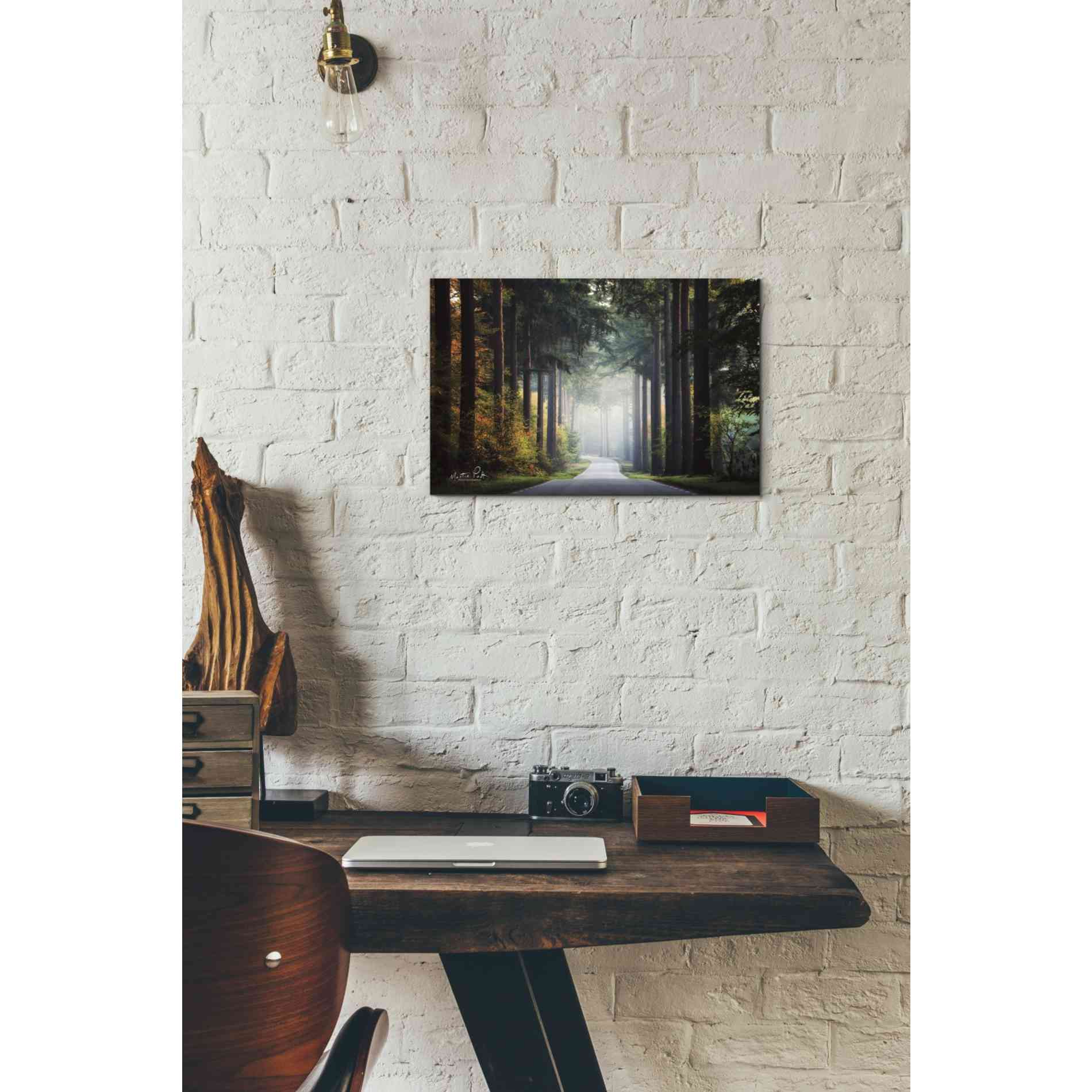 'Mysterious Roads' by Martin Podt, Canvas Wall Art,18 x 12