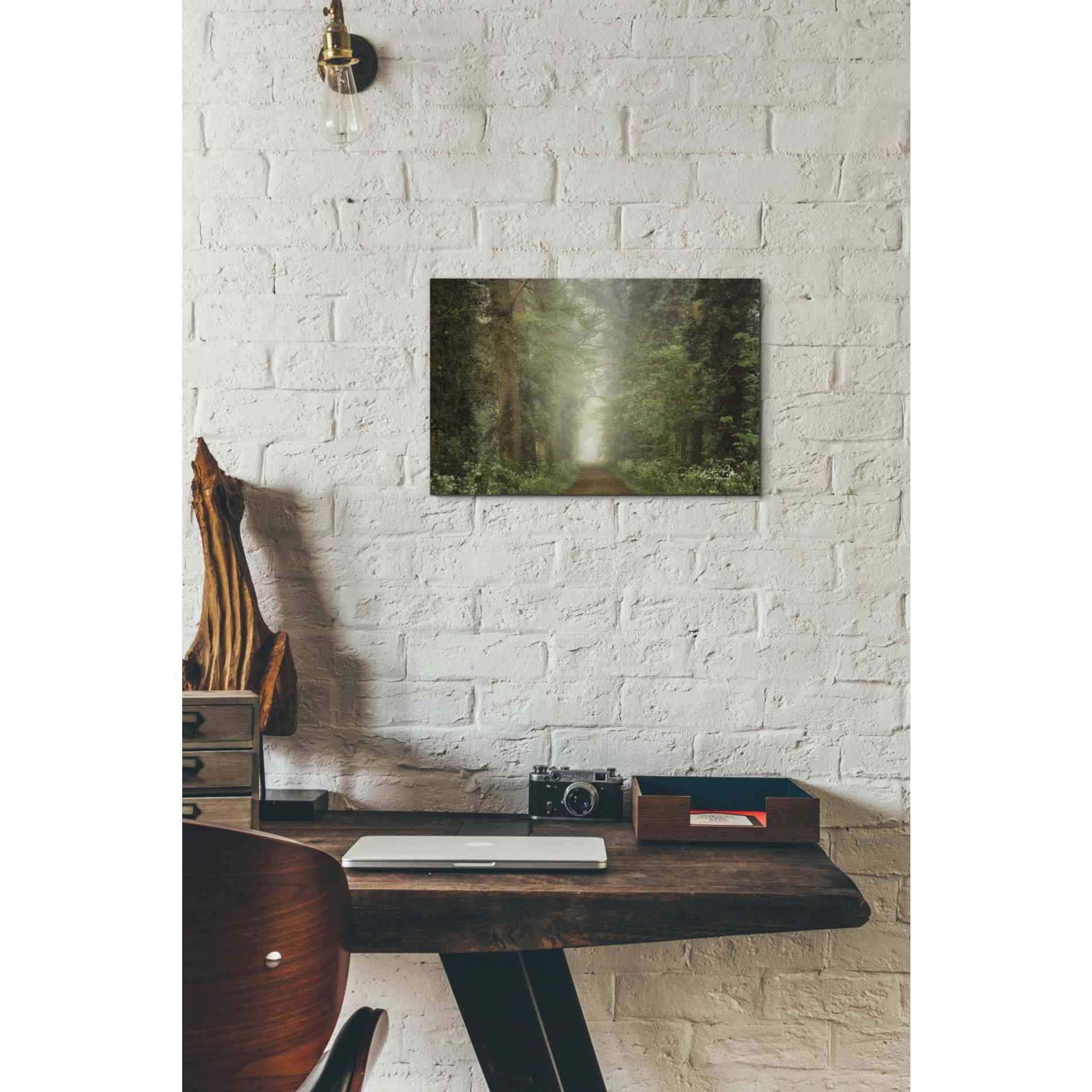 'Misty Spring Road' by Martin Podt, Canvas Wall Art,18 x 12