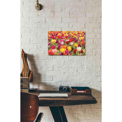 Image of 'Colorful Bouquet' by Martin Podt, Canvas Wall Art,18 x 12