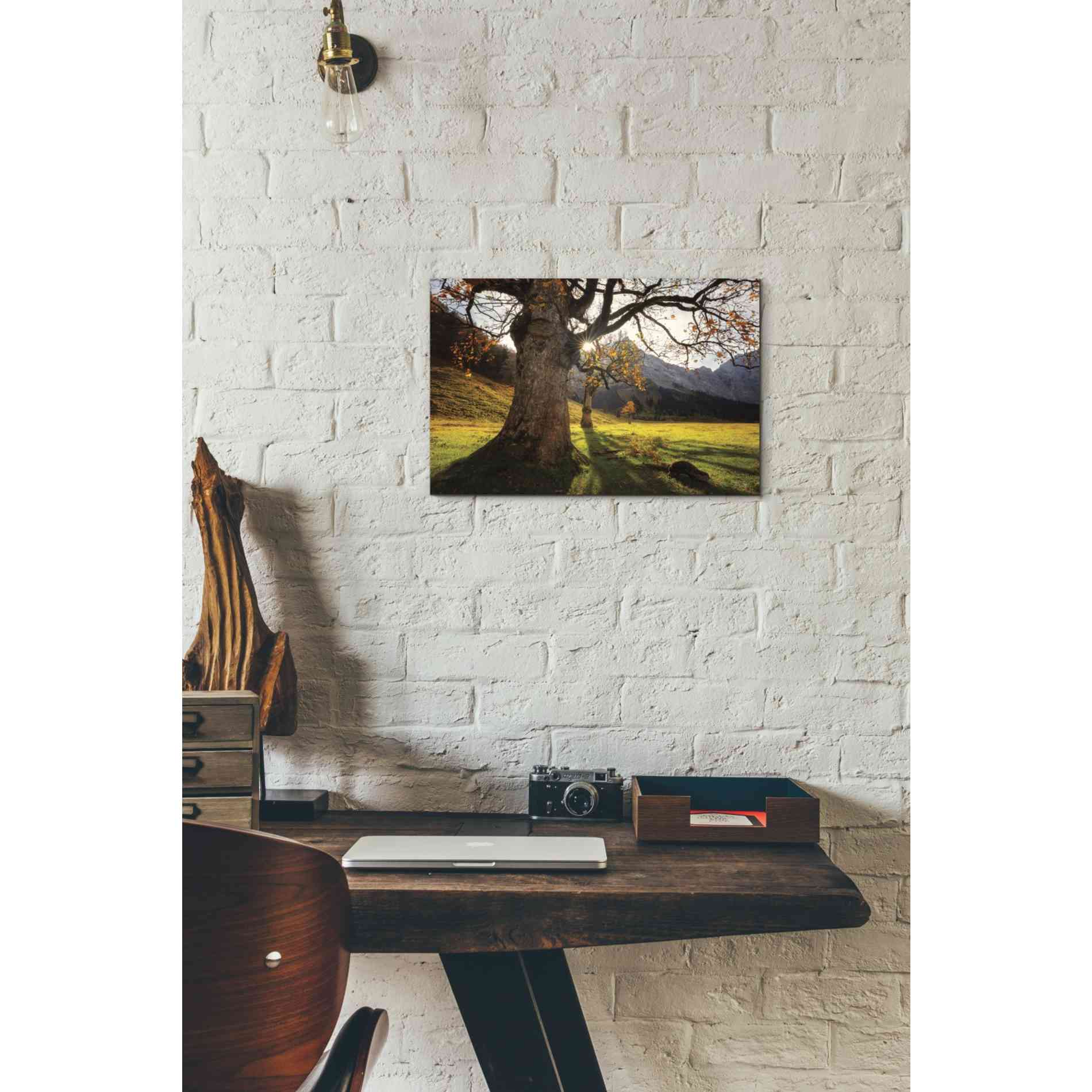 'The Star' by Martin Podt, Canvas Wall Art,18 x 12