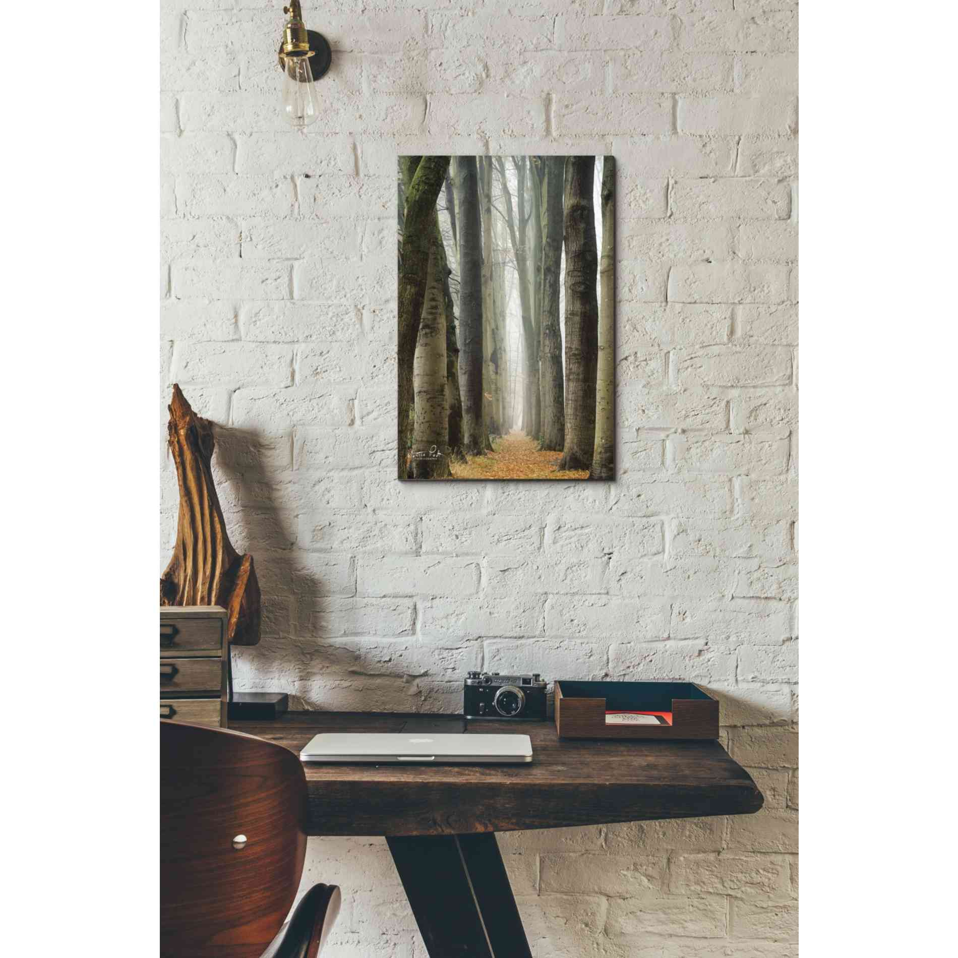 'Narrow Alley in the Netherlands' by Martin Podt, Canvas Wall Art,12 x 18