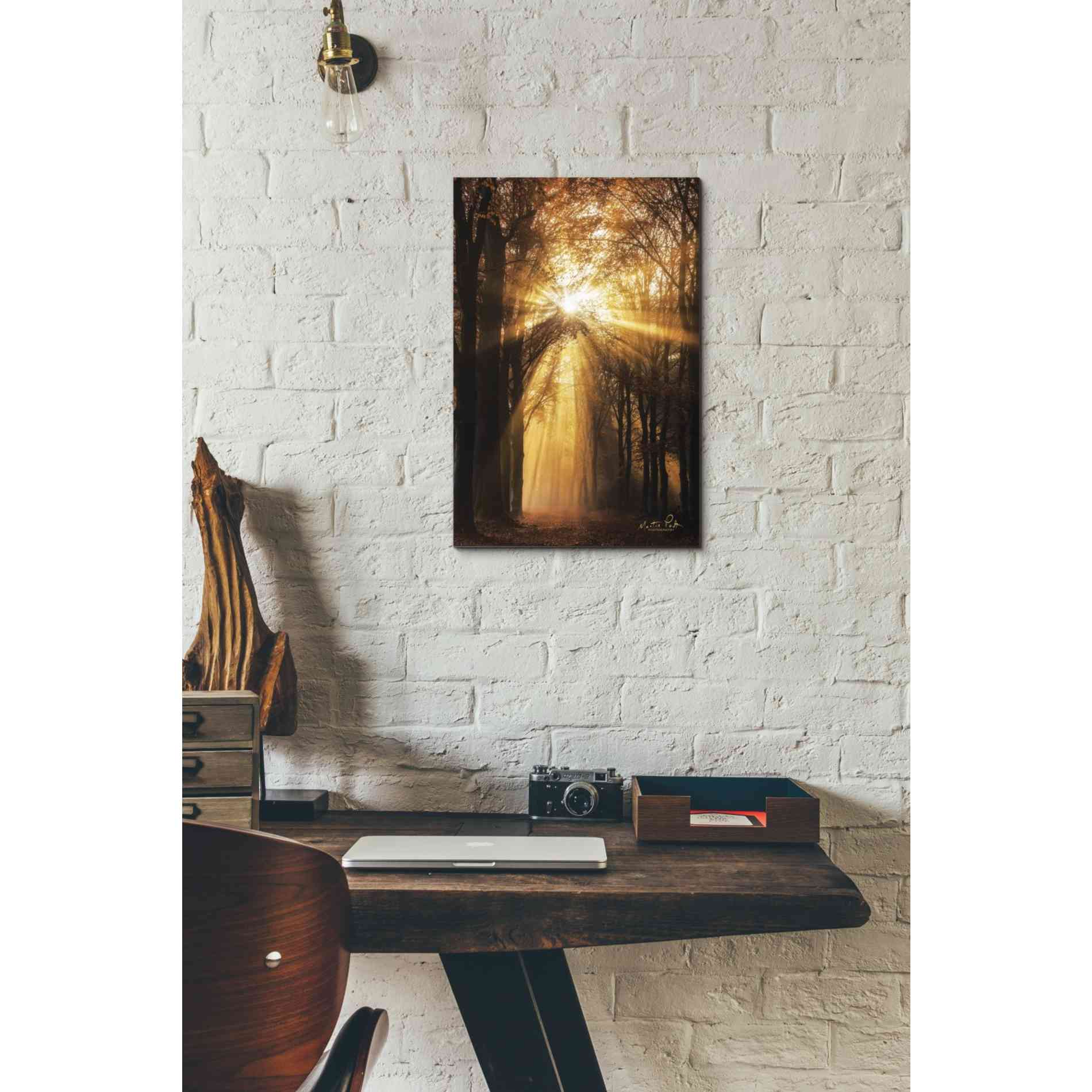 'Sunburst' by Martin Podt, Canvas Wall Art,12 x 18