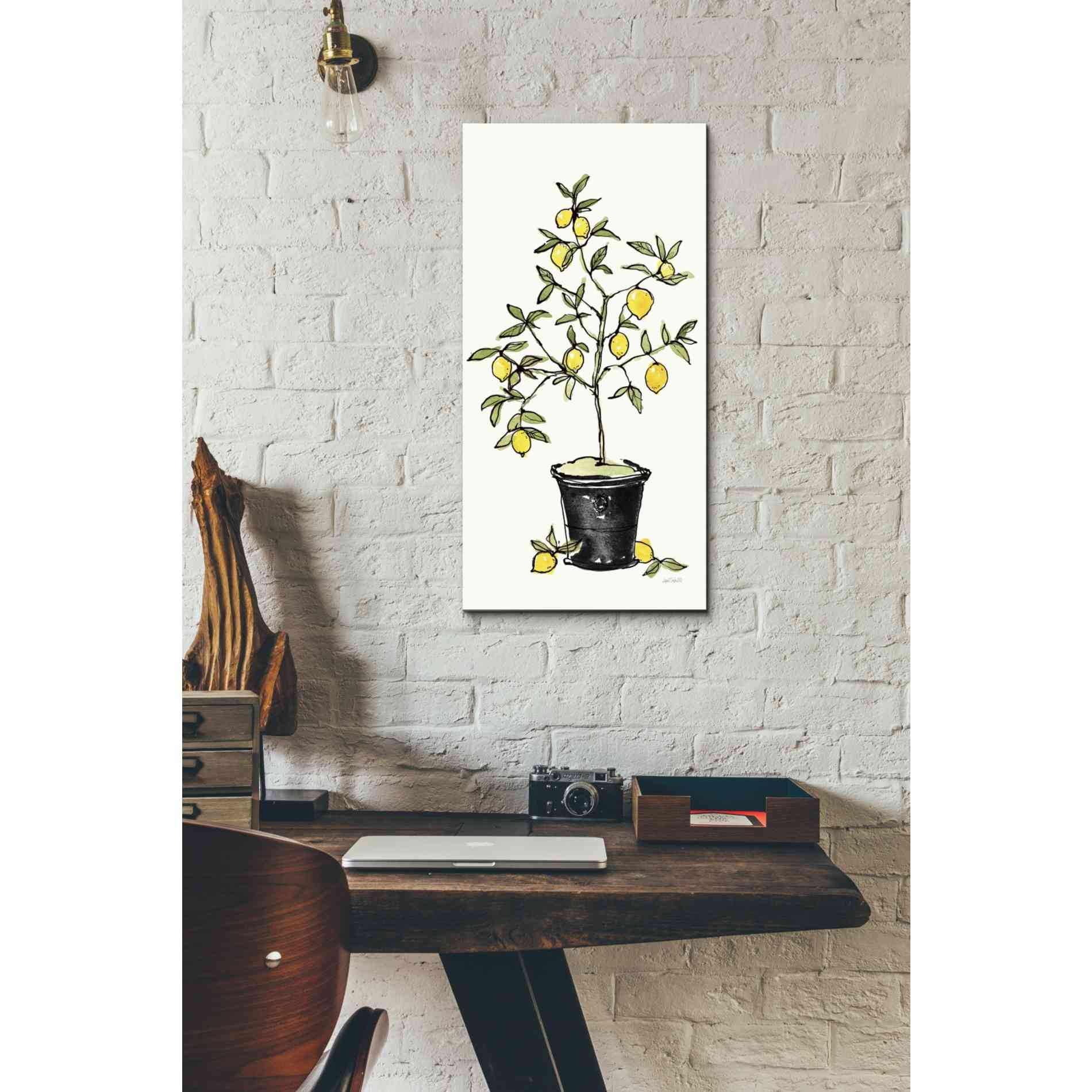 'Citron V' by Anne Tavoletti, Canvas Wall Art,12 x 24