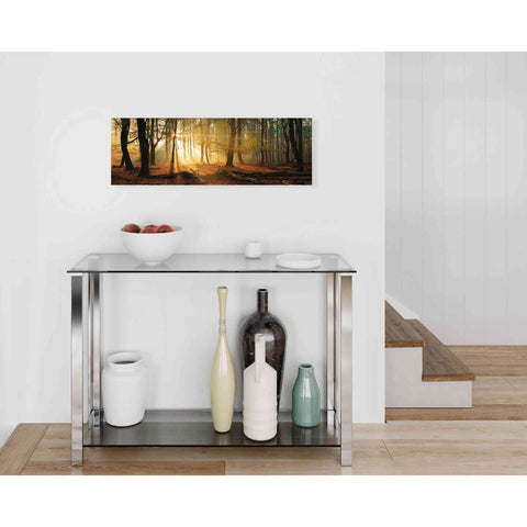 Image of 'Speulderbos Panorama' by Martin Podt, Canvas Wall Art,36 x 12