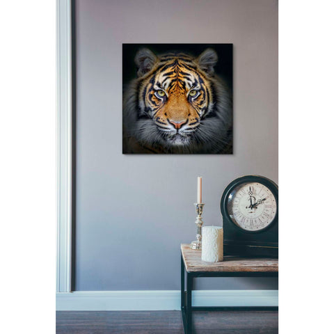 Image of 'Wild Side' Giclee Canvas Wall Art