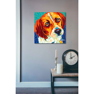 'Dogs in Color II' by Carolee Vitaletti, Giclee Canvas Wall Art