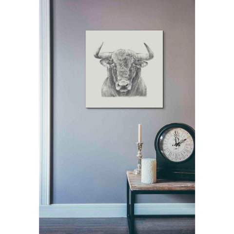 Image of 'Black and White Bull' by Ethan Harper, Canvas Wall Art,18 x 18