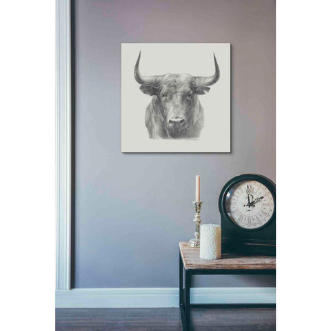 Image of 'Black Bull' by Ethan Harper, Canvas Wall Art,18 x 18