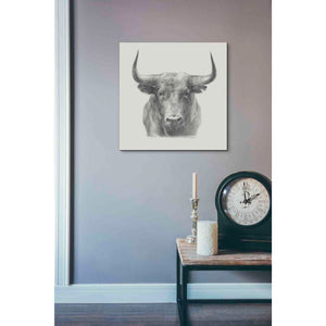 'Black Bull' by Ethan Harper, Canvas Wall Art,18 x 18