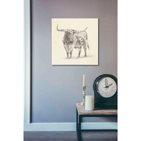 Image of 'Longhorn Steer Sketch II' by Ethan Harper, Canvas Wall Art,18 x 18