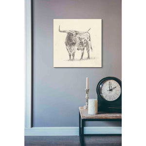 'Longhorn Steer Sketch II' by Ethan Harper, Canvas Wall Art,18 x 18