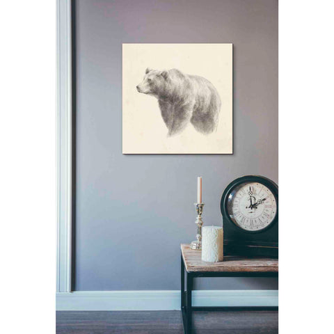 Image of 'Western Bear Study' by Ethan Harper, Canvas Wall Art,18 x 18