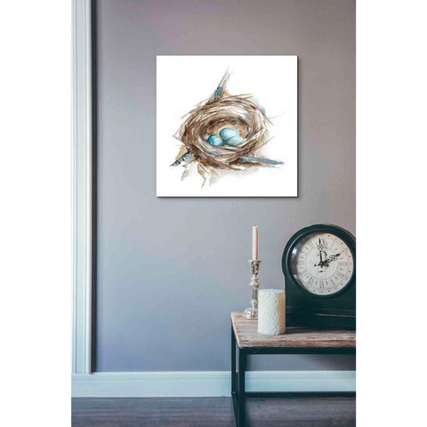 Image of 'Bird Nest Study II' by Ethan Harper, Canvas Wall Art,18 x 18