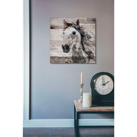 Image of 'Sparkle Horse 4' by Irena Orlov, Canvas Wall Art,18 x 18