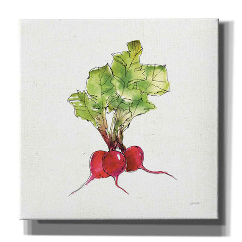 Image of 'Veggie Market II Radish' by Anne Tavoletti, Canvas Wall Art,18 x 18