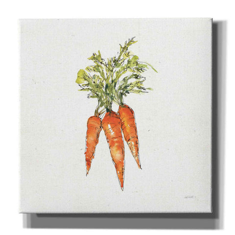 Image of 'Veggie Market V Carrots' by Anne Tavoletti, Canvas Wall Art,18 x 18