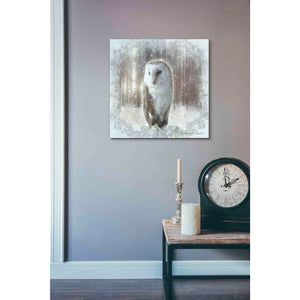 'Enchanted Winter Owl' by Bluebird Barn, Canvas Wall Art,18 x 18