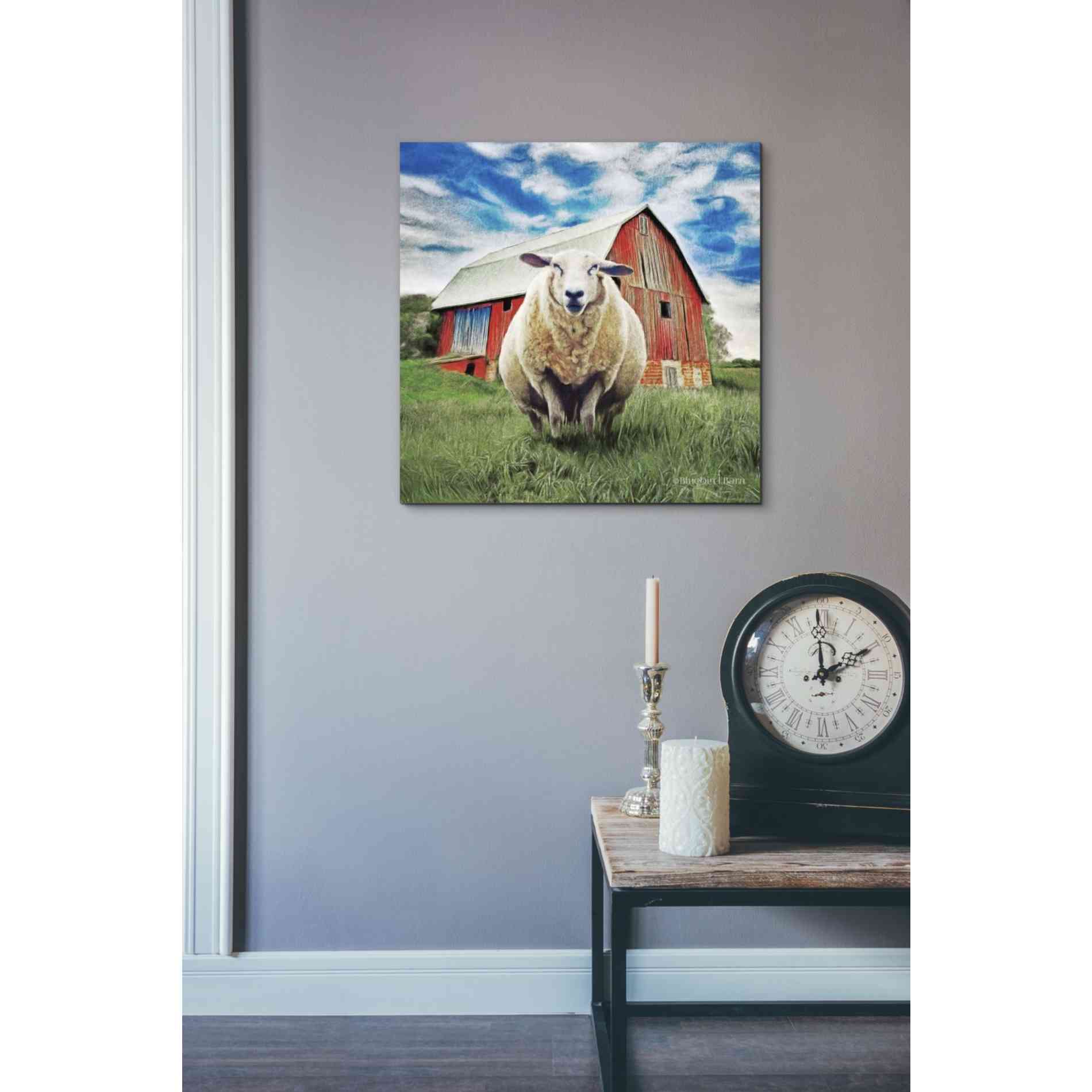 'Sunday Afternoon Sheep Pose' by Bluebird Barn, Canvas Wall Art,18 x 18
