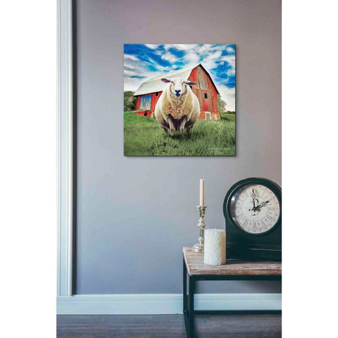 Image of 'Sunday Afternoon Sheep Pose' by Bluebird Barn, Canvas Wall Art,18 x 18