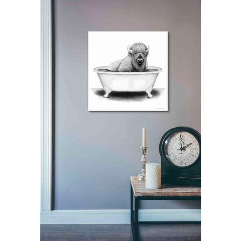 Image of 'Bison in Tub' by Rachel Nieman, Canvas Wall Art,18 x 18