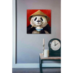 'Panda' by Lucia Heffernan, Canvas Wall Art,18 x 18