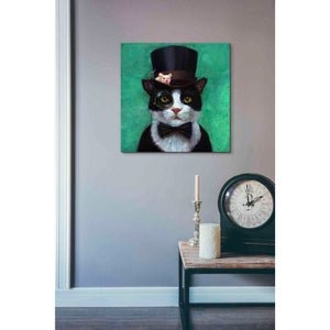 'Tuxedo Cat' by Lucia Heffernan, Canvas Wall Art,18 x 18