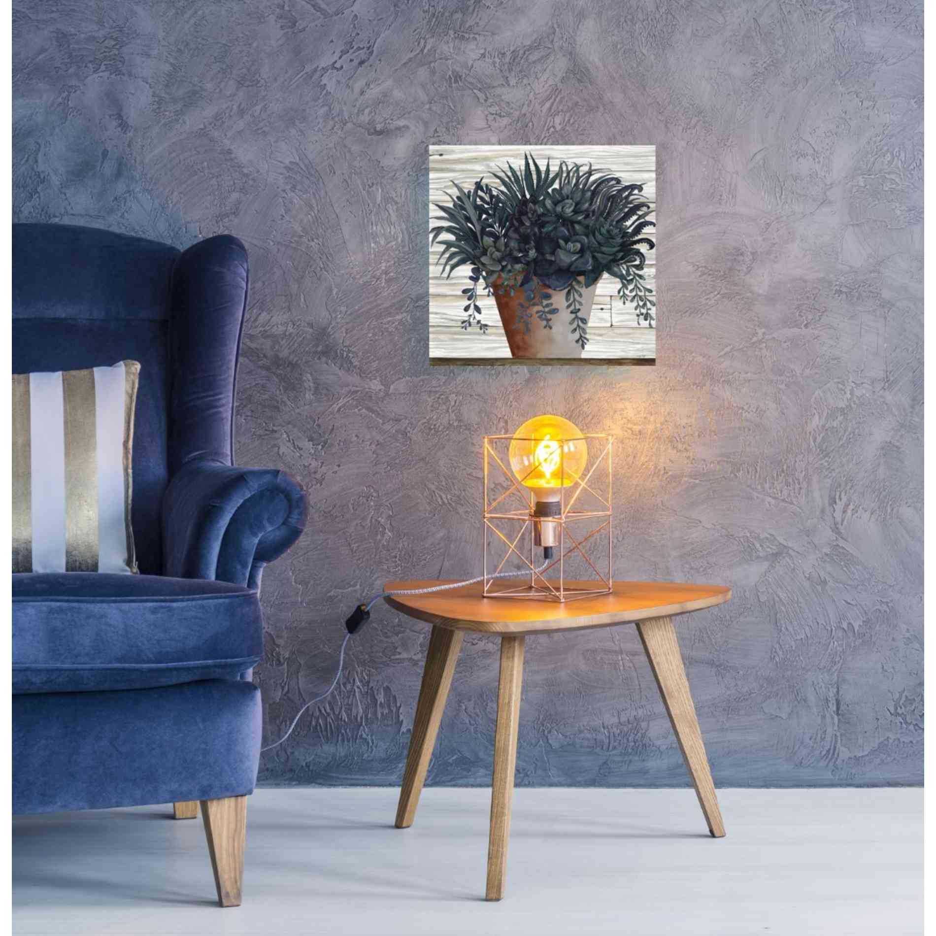 'Remarkable Succulents I' by Cindy Jacobs, Giclee Canvas Wall Art