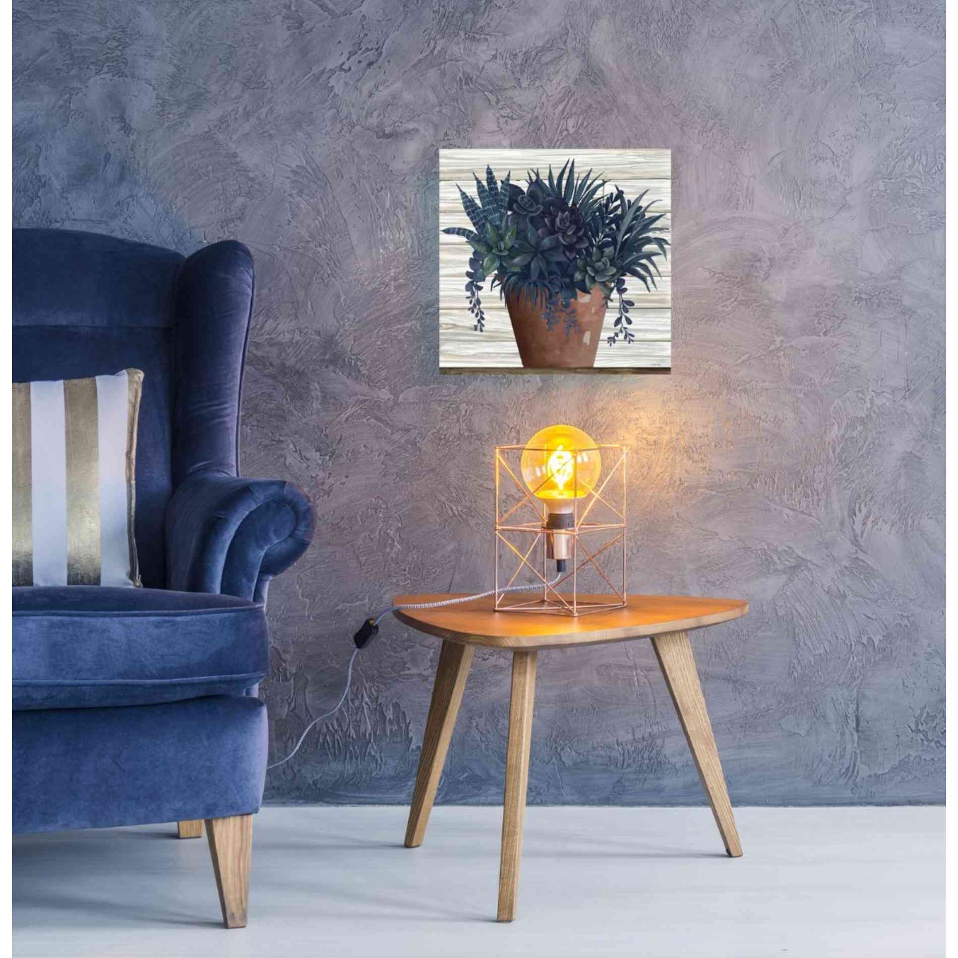 'Remarkable Succulents II' by Cindy Jacobs, Canvas Wall Art,18 x 18