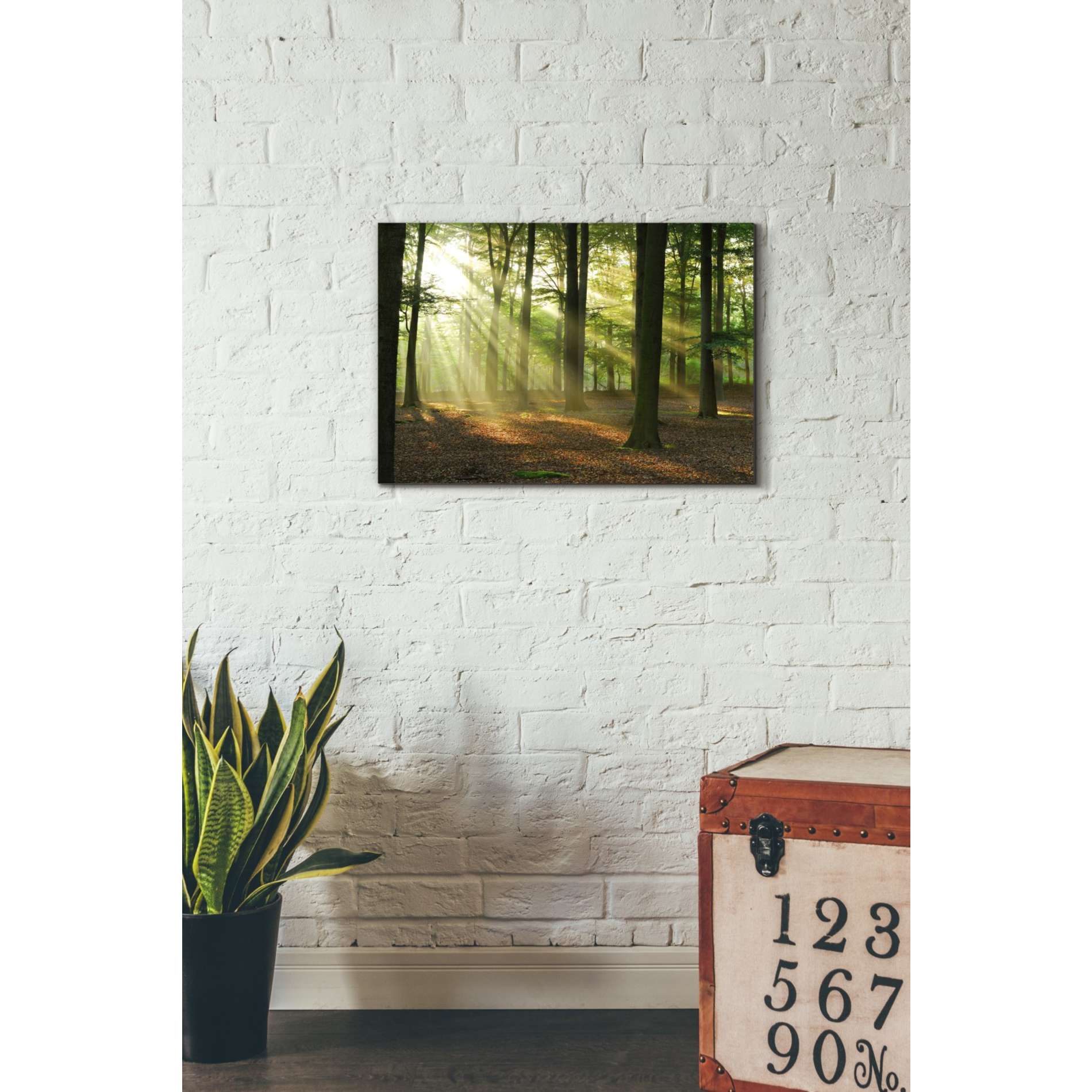 'Rays of Light' Giclee Canvas Wall Art