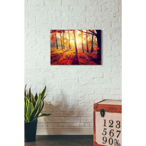 Image of 'Golden Afternoon' Canvas Wall Art,26 x 18