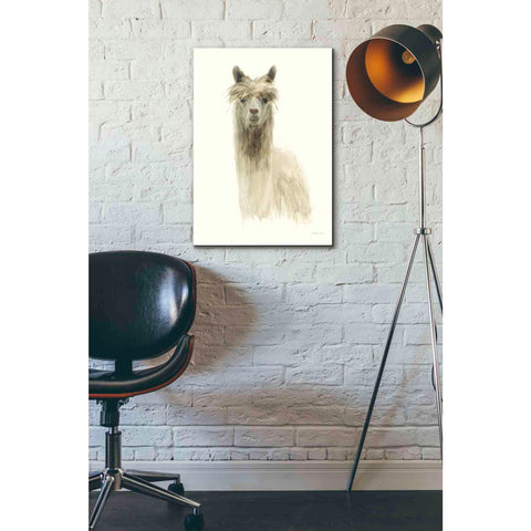 Image of 'Classic Llamas I' by Danhui Nai, Canvas Wall Art,18 x 26