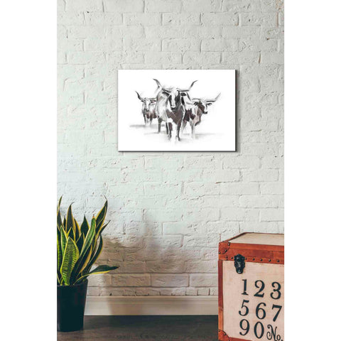 Image of 'Contemporary Cattle I' by Ethan Harper Canvas Wall Art,26 x 18