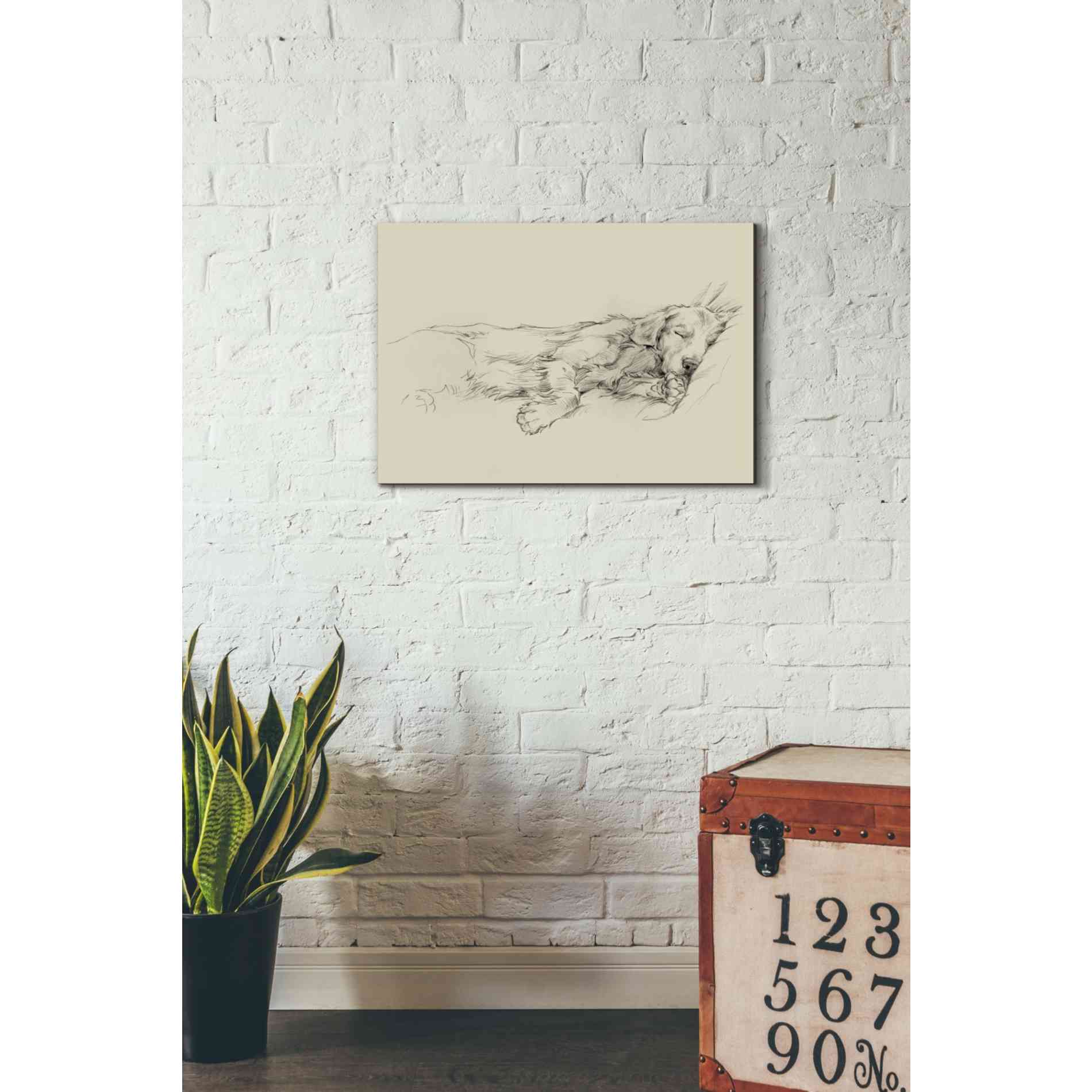 'Dog Days III' by Ethan Harper Canvas Wall Art,26 x 18