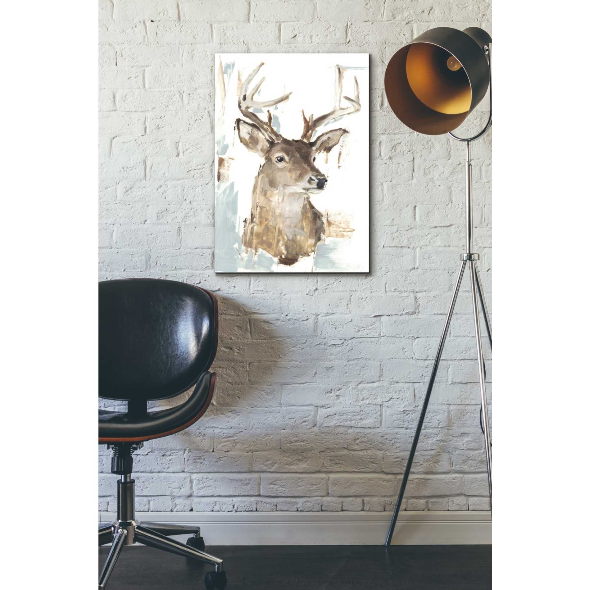 'Modern Deer Mount I' by Ethan Harper Canvas Wall Art,18 x 26