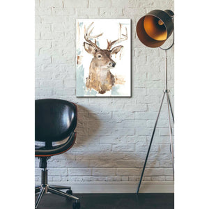 'Modern Deer Mount I' by Ethan Harper Canvas Wall Art,18 x 26